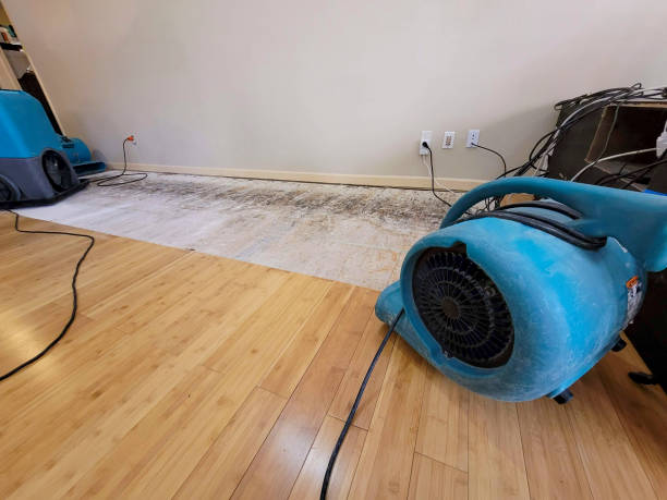 Professional Water Damage Repair technician working in Rising Star, TX